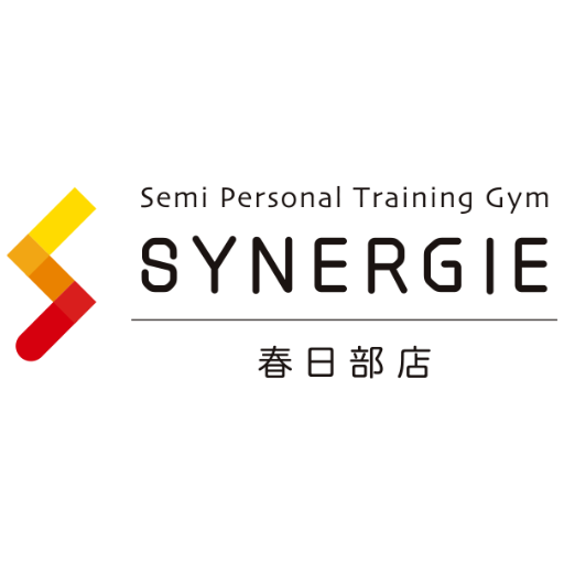 SYNERGIE